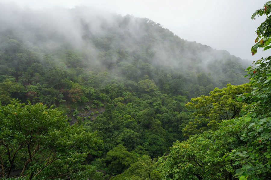 Waterfall in the Western Ghats